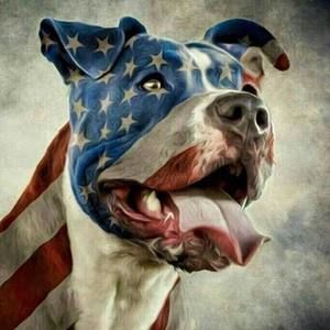 Meet your Posher, Nelson